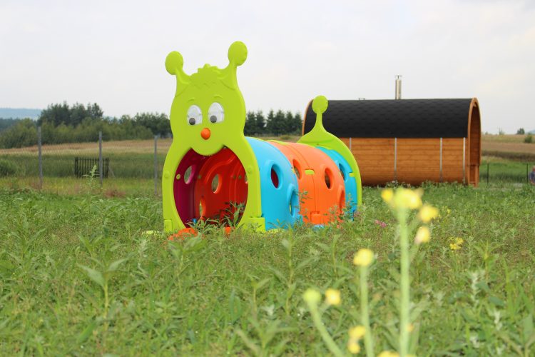 Biały Łabędź dla dzieci