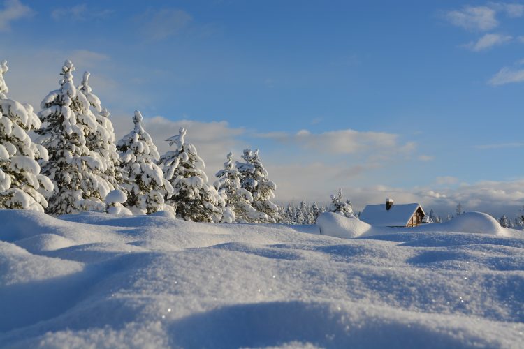 snow-1209991_1920
